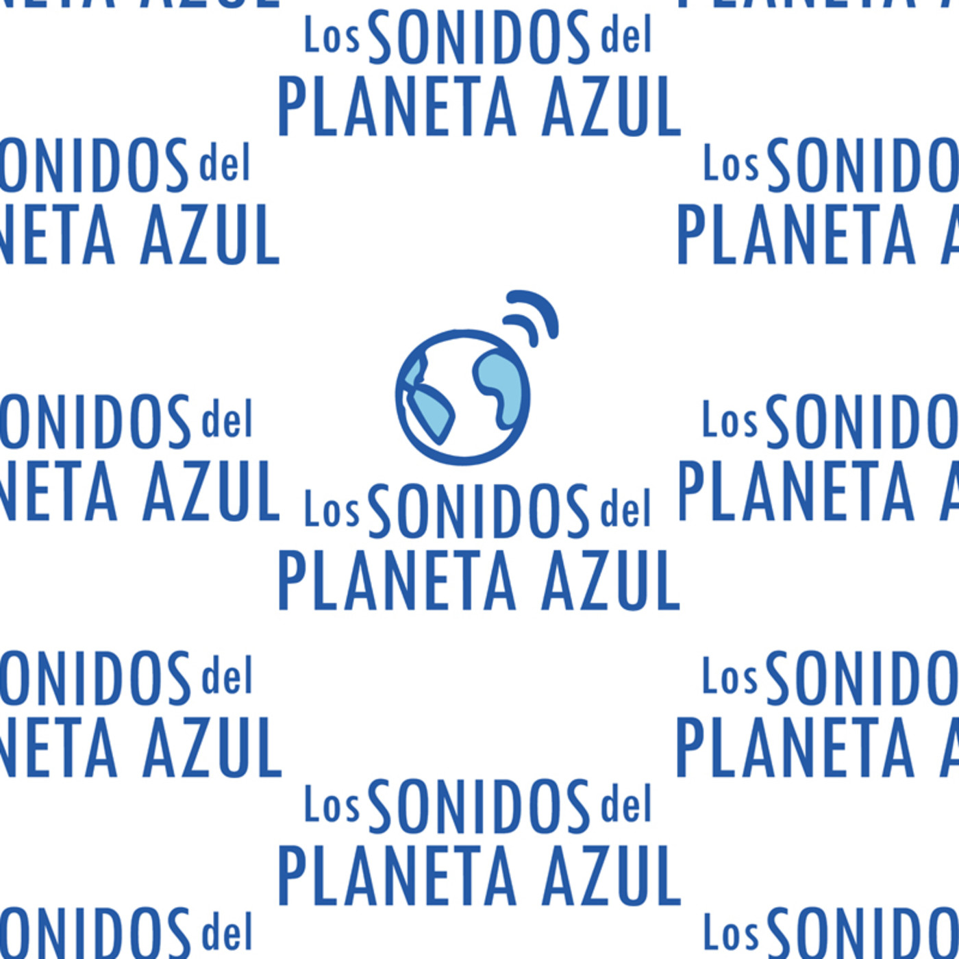 Los Sonidos del Planeta Azul 2013-2014