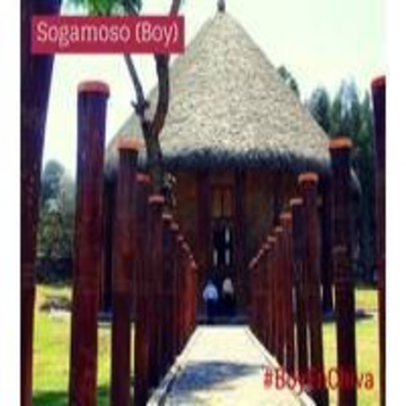 Boy En Chiva 2014 Podcast