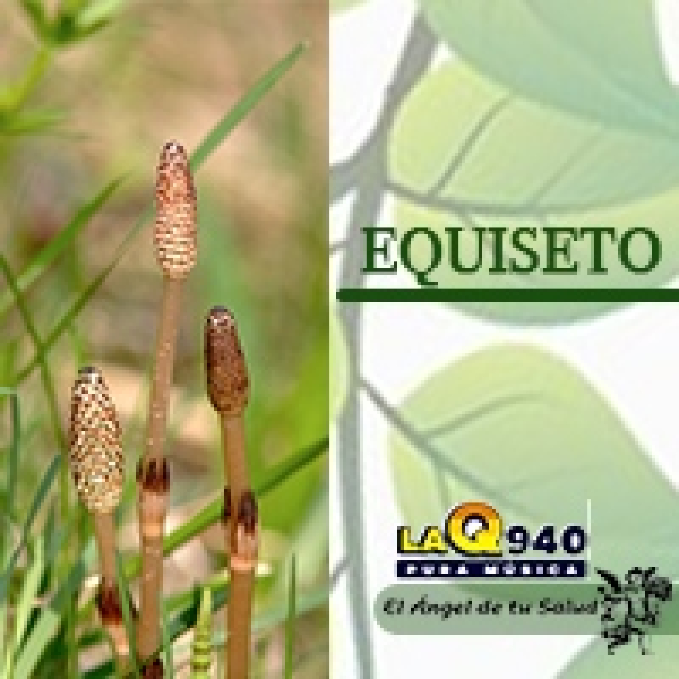 El Ángel de tu Salud - Equiseto** episode artwork