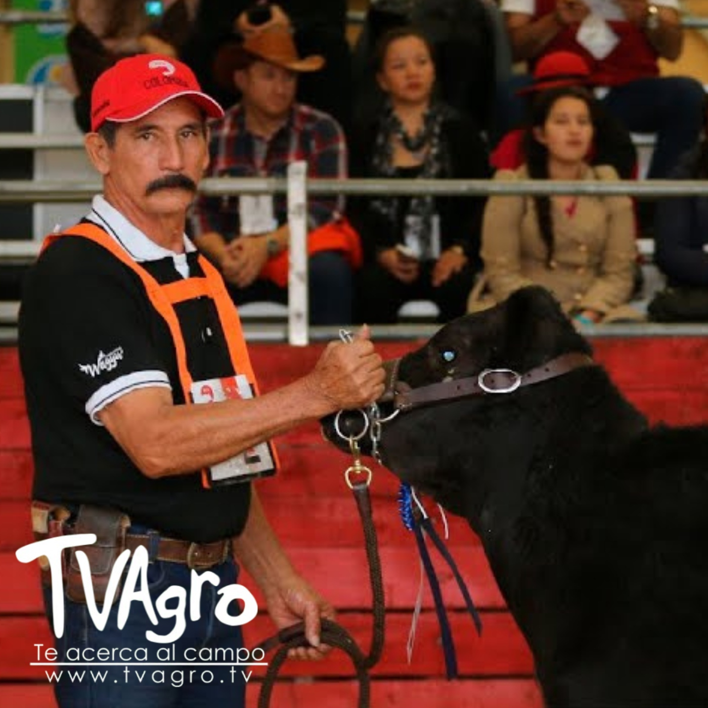 TV AGRO