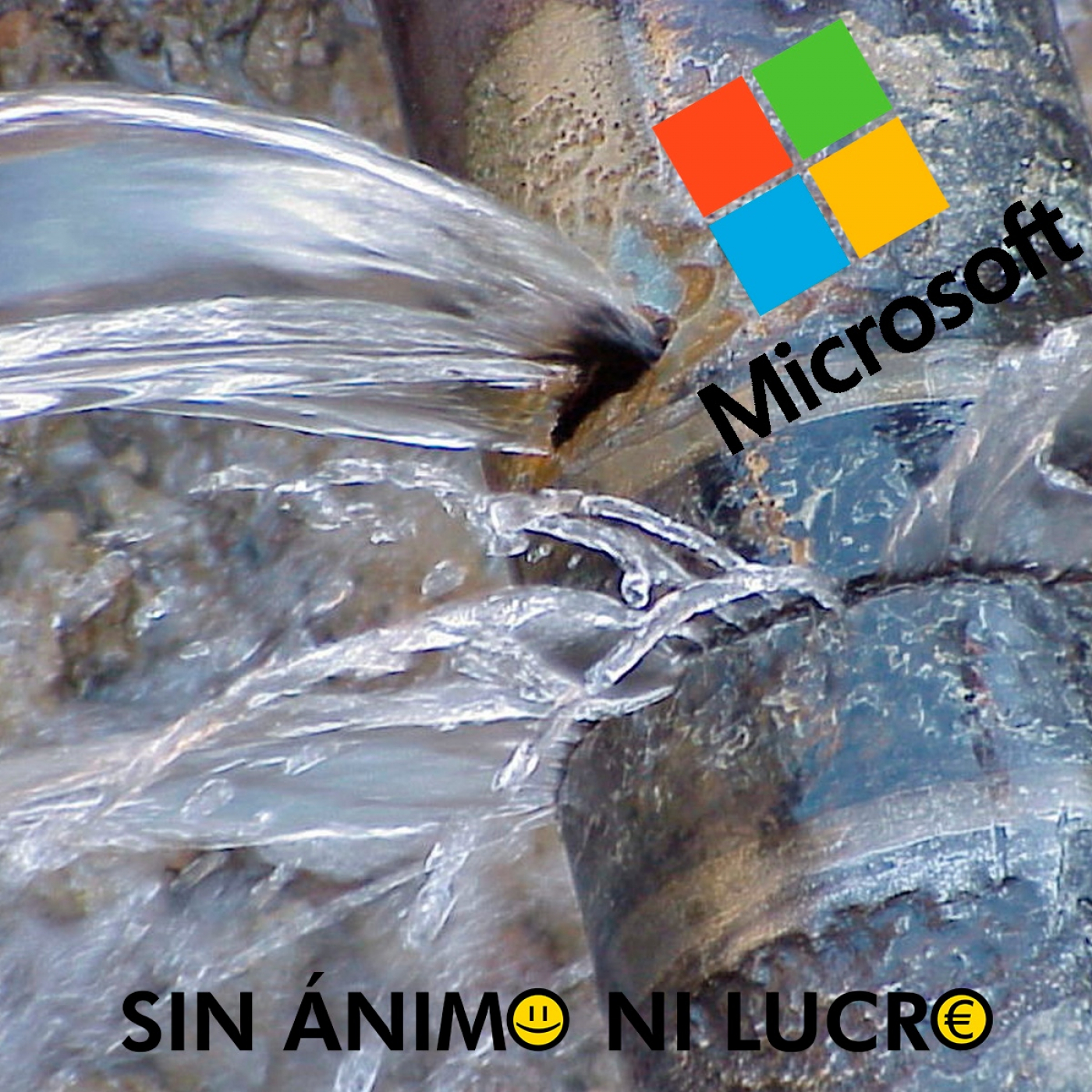 Sin Ánimo Ni Lucro