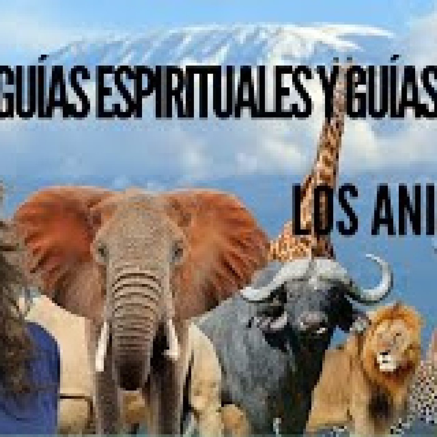 GUIAS ESPIRITUALES Y GUÍAS TERRENOS, LOS ANIMALES episode artwork