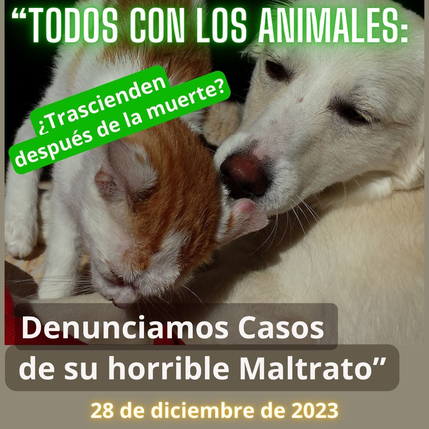 Más allá de la Realidad