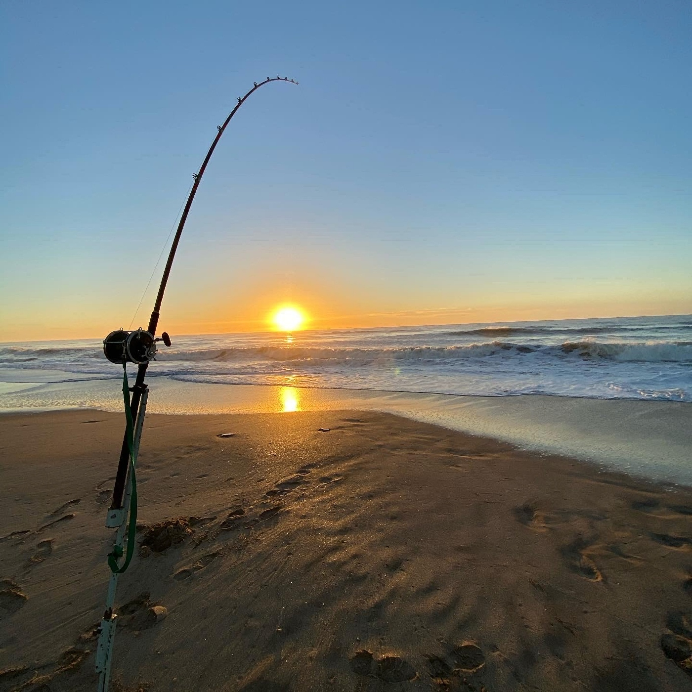 Planeta Pesca