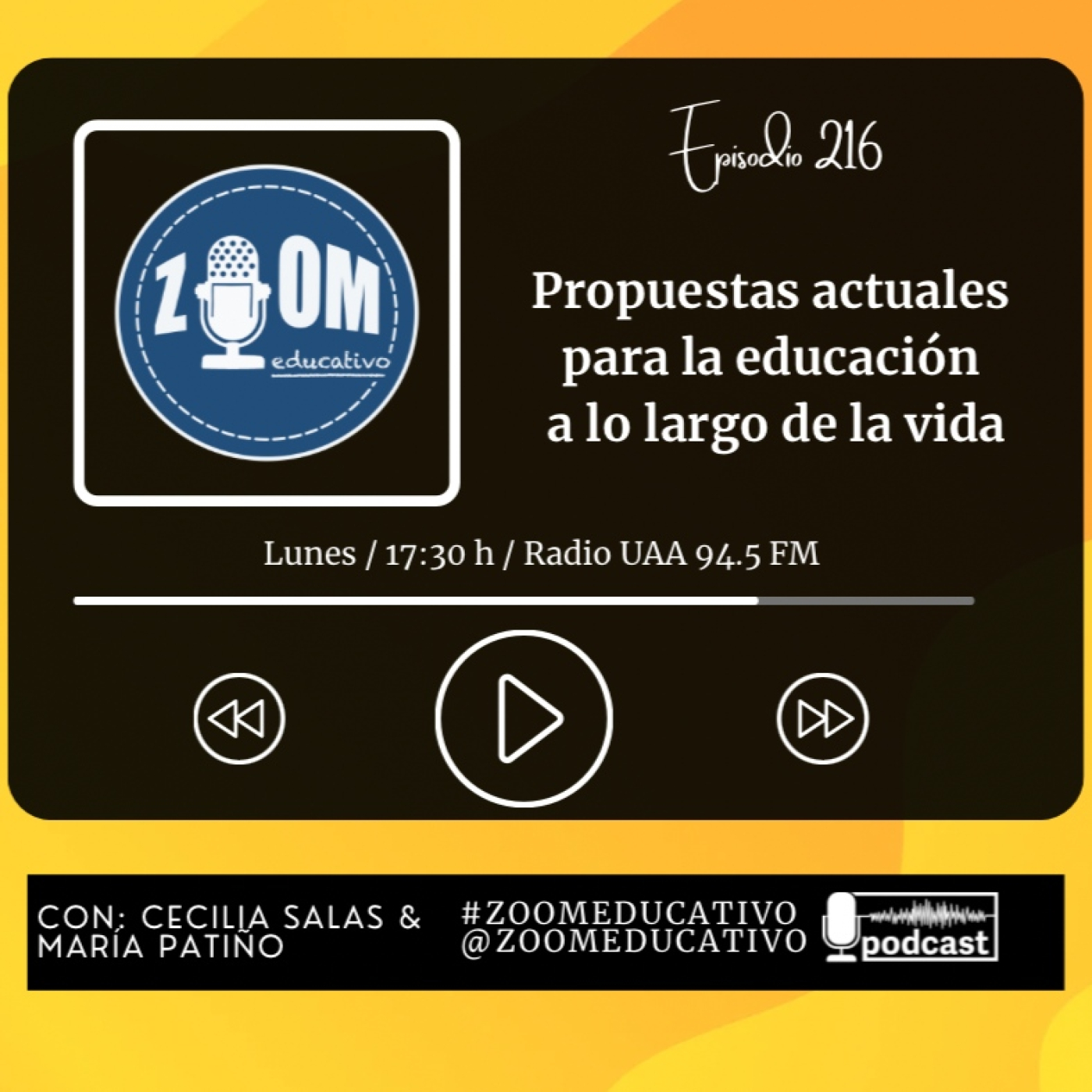 Ep 216 Propuestas actuales para la educación a lo largo de la vida