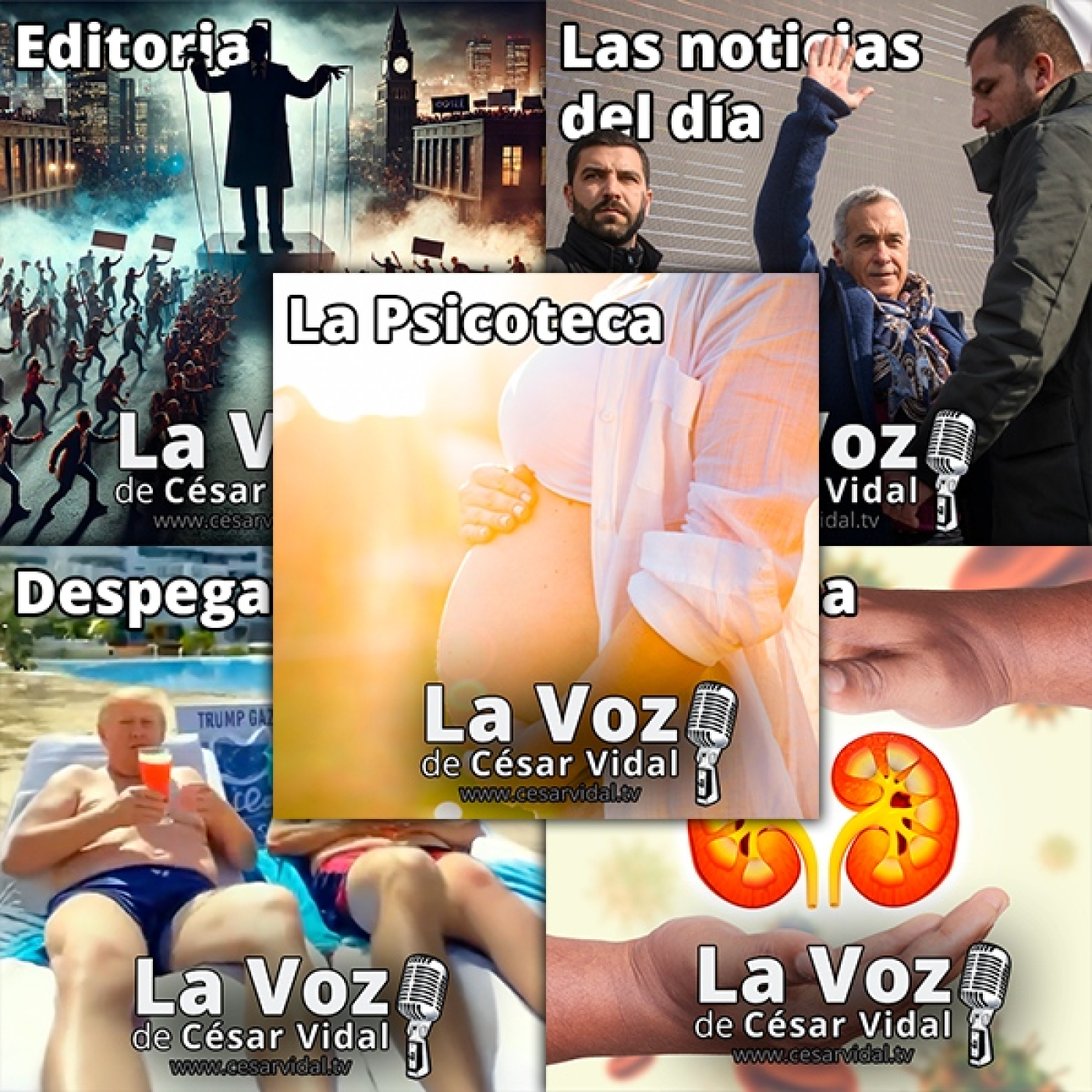 La Voz de César Vidal