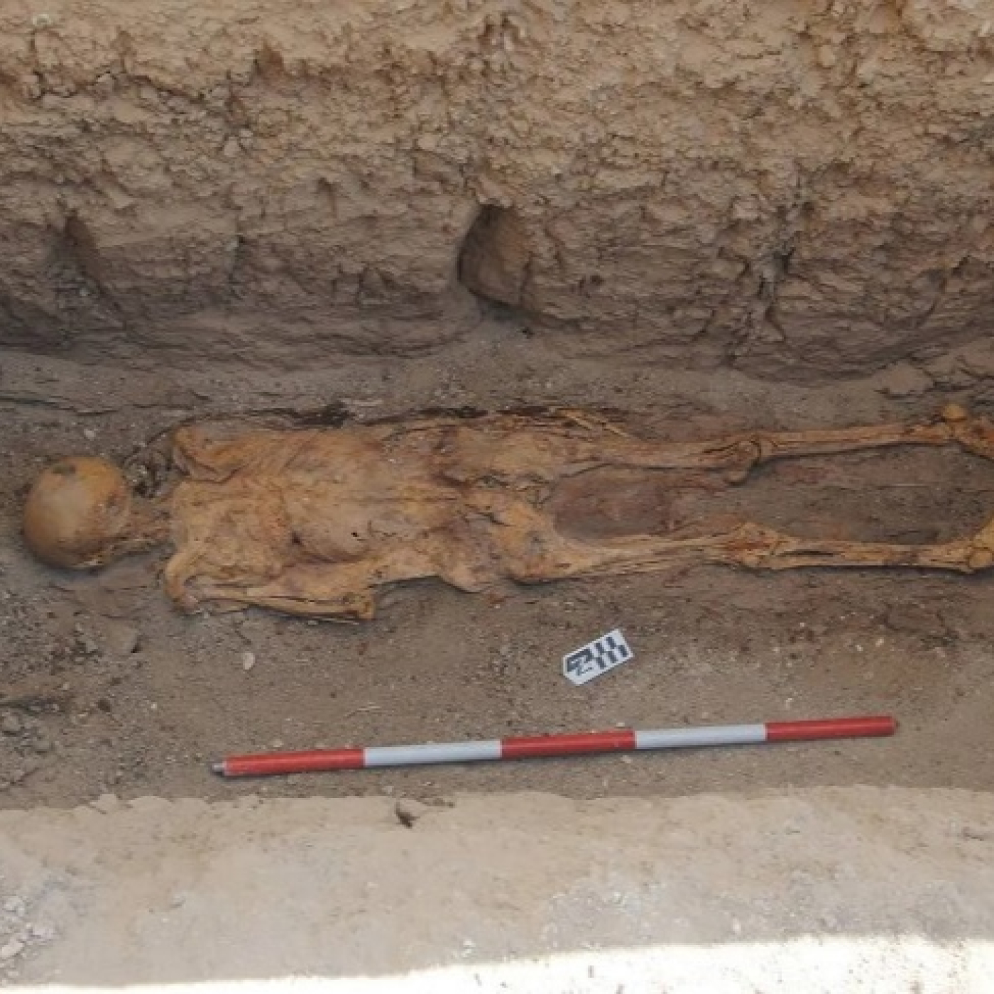 El templo de millones de años de Tutmosis III y la momia maldita. Myriam Seco Prof.ª US. LFDLC. 591