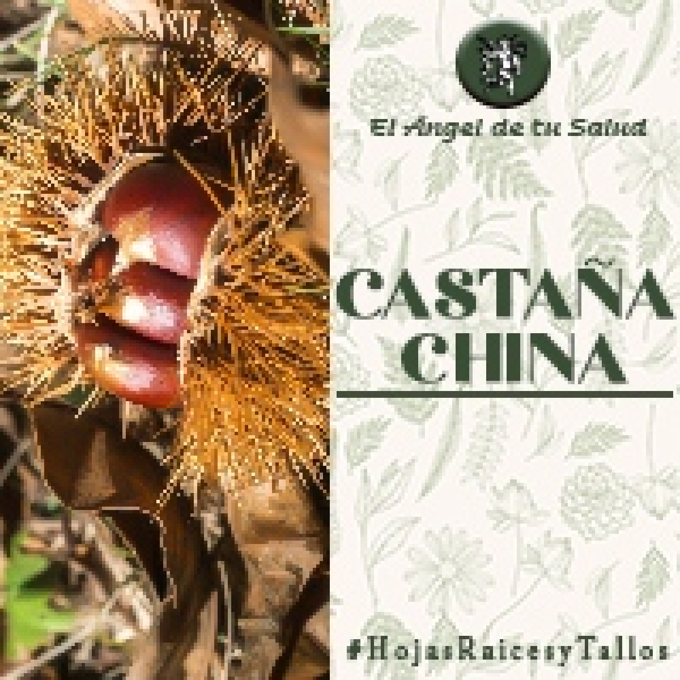 El Ángel de tu Salud - Castaña China** episode artwork