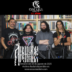 embed image