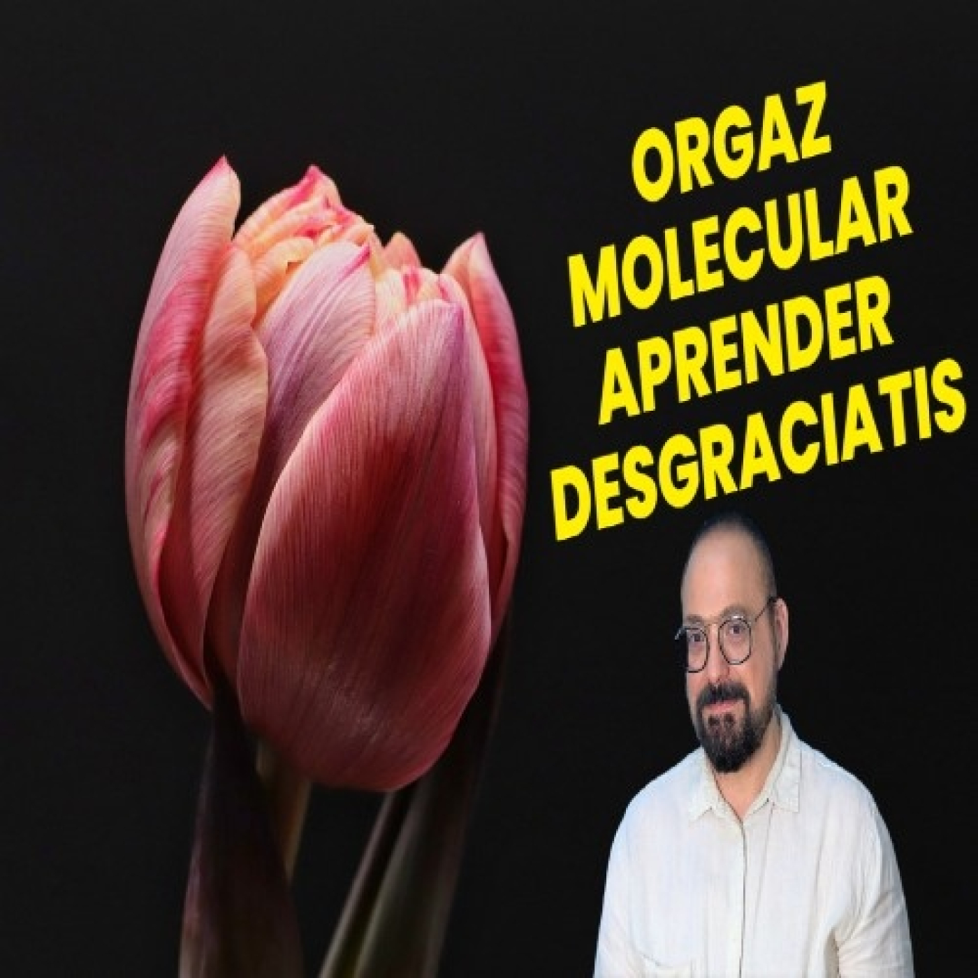 Javier Orgaz