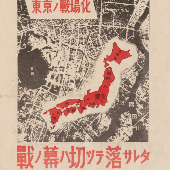embed image