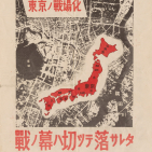 embed image