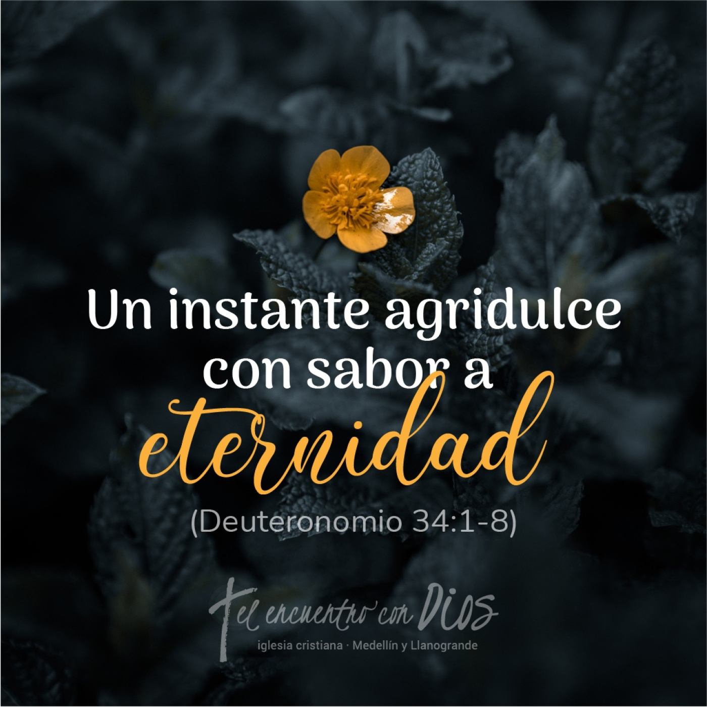 encuentro con Dios - sede Llanogrande