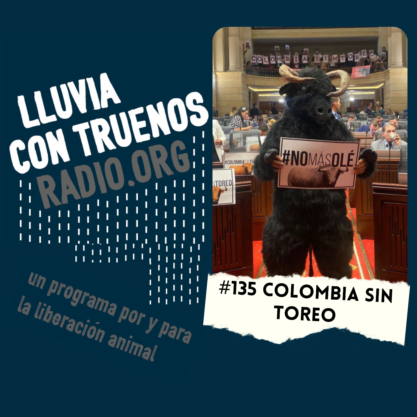 Lluvia con truenos radio