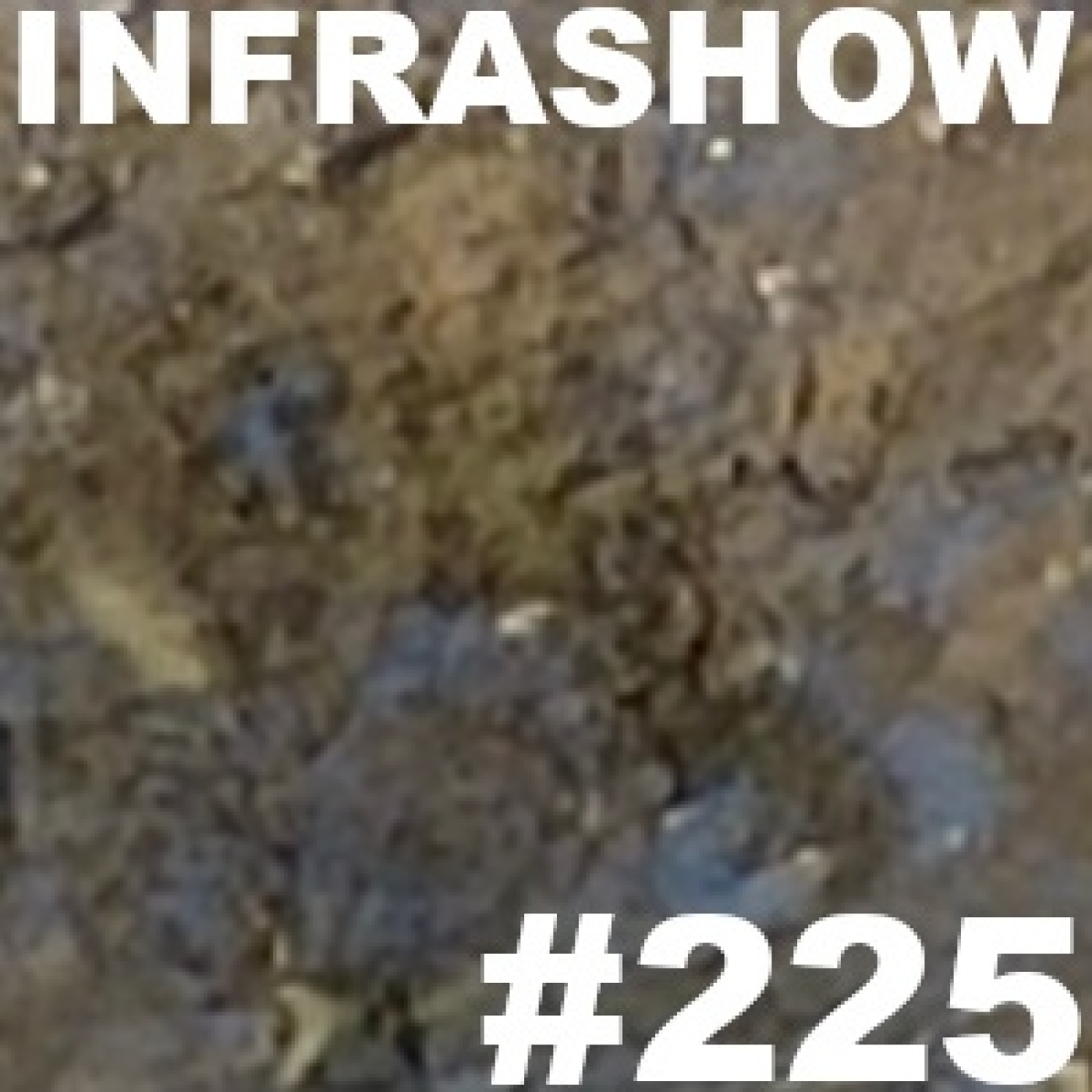 INFRASHOW - MIGUEL NOGUERA