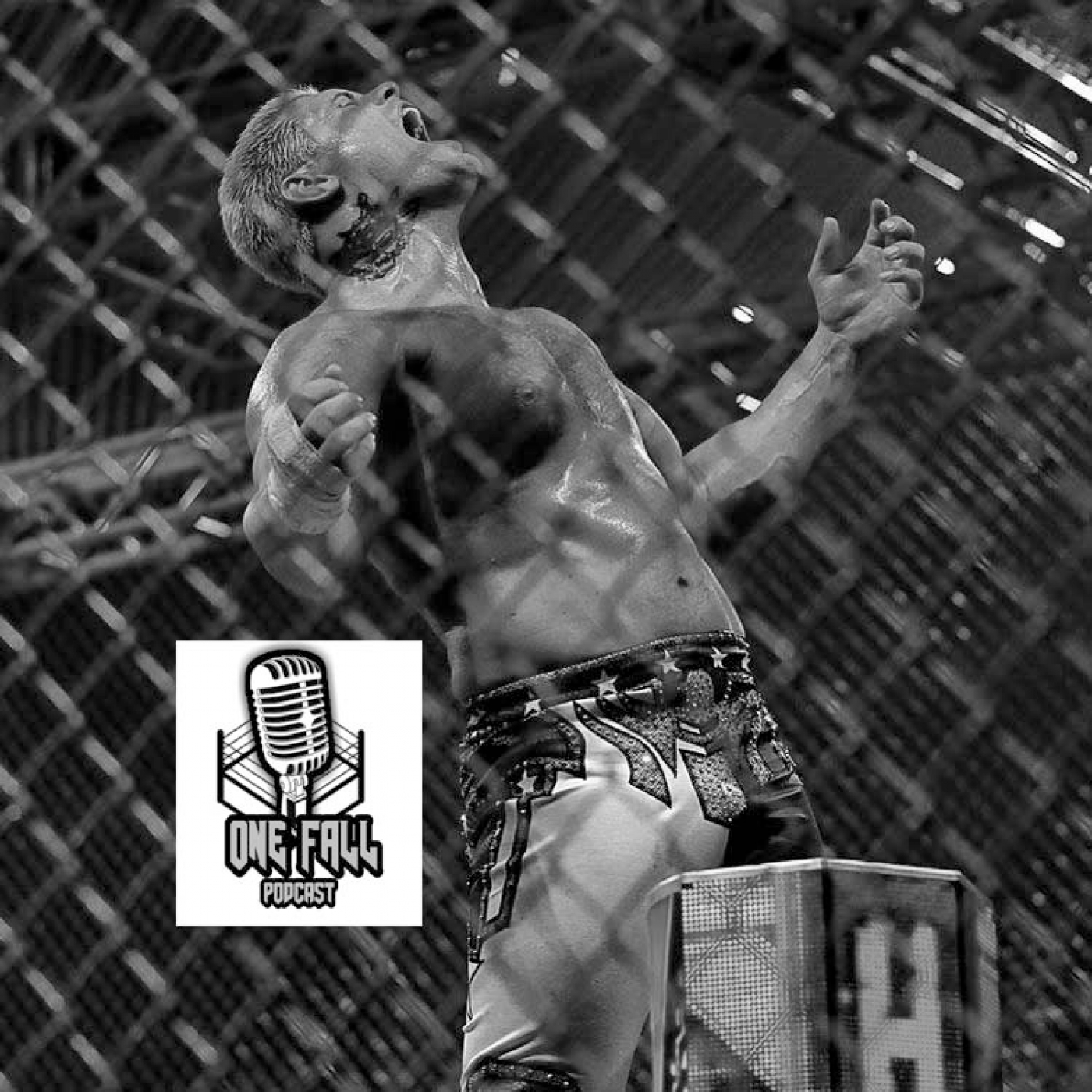 One Fall Podcast # 154 - WWE Hell in a Cell episode artwork