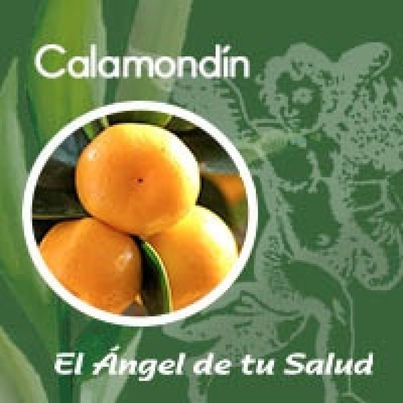 El Ángel de tu Salud - Calamondín** episode artwork