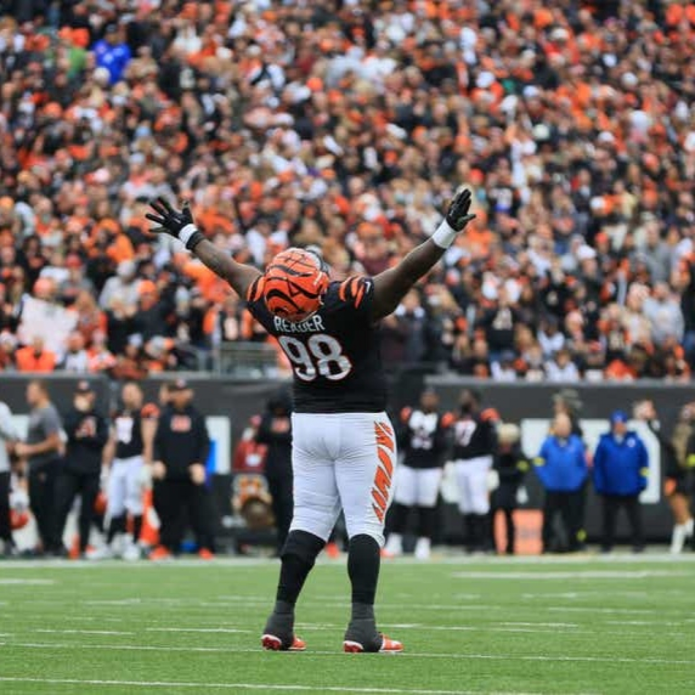 La Jungla Hispana - Bengals.es