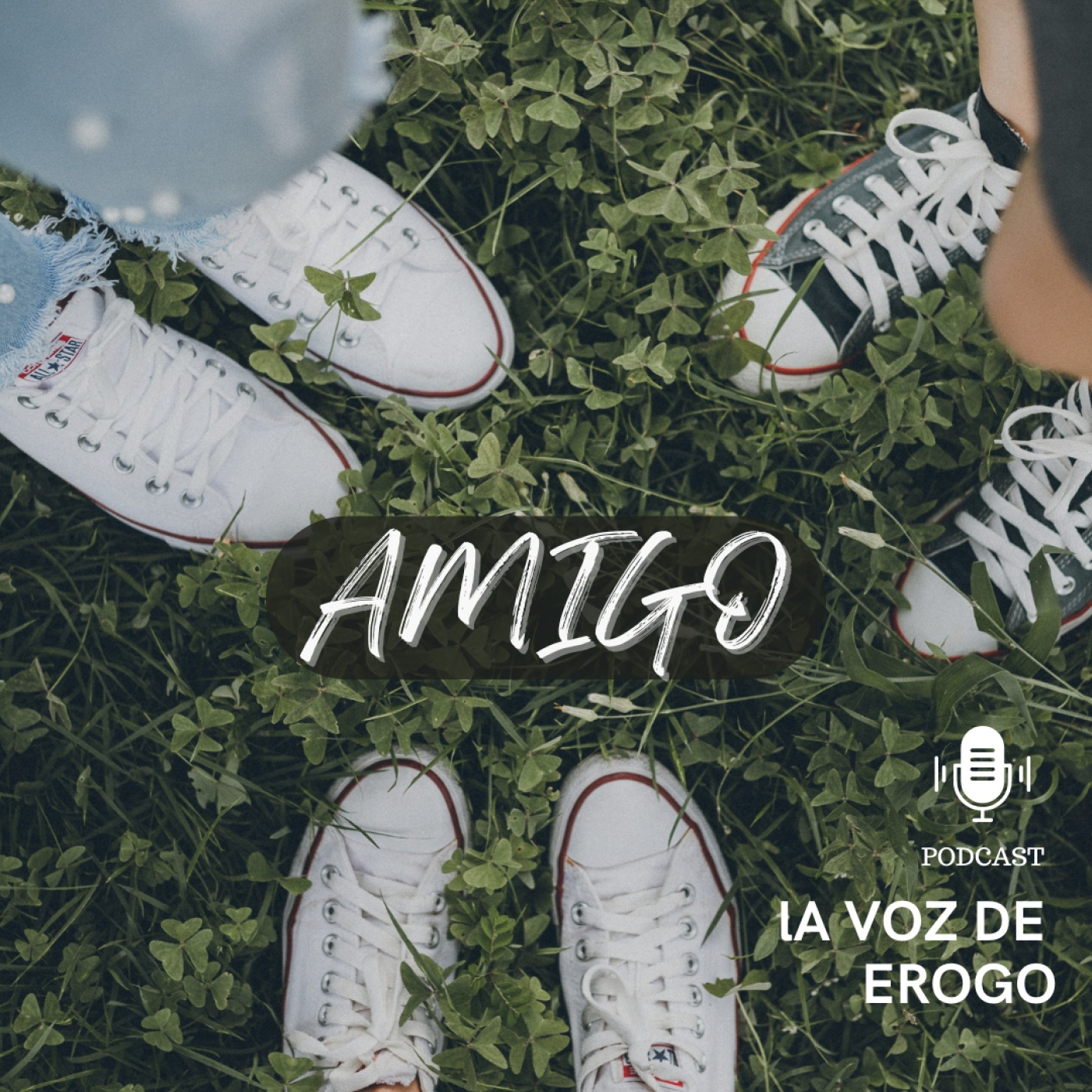 LA VOZ DE EROGO