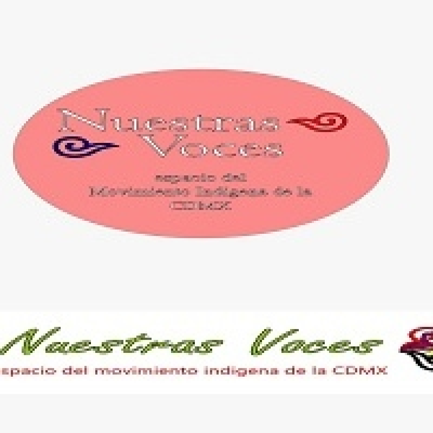 Nuestras Voces 01122025 p 375