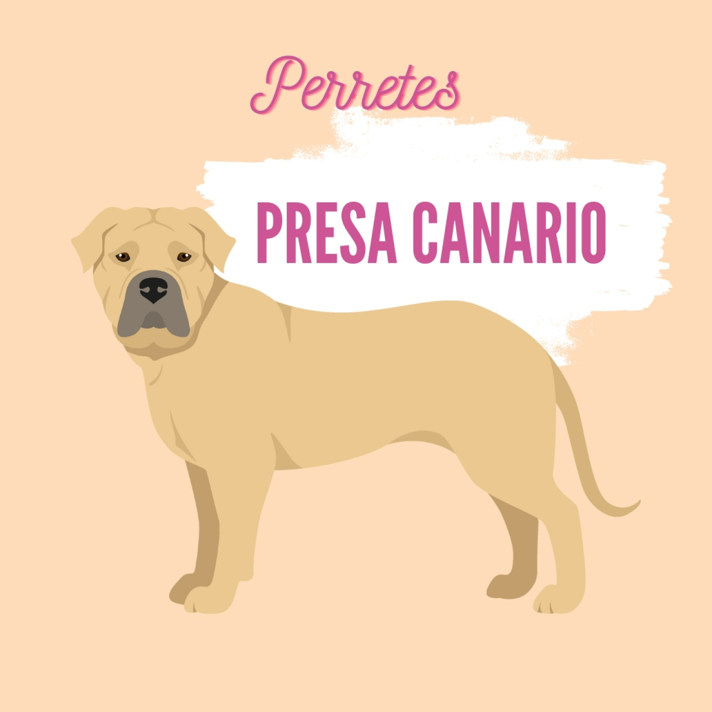 Perretes | Las razas de perros