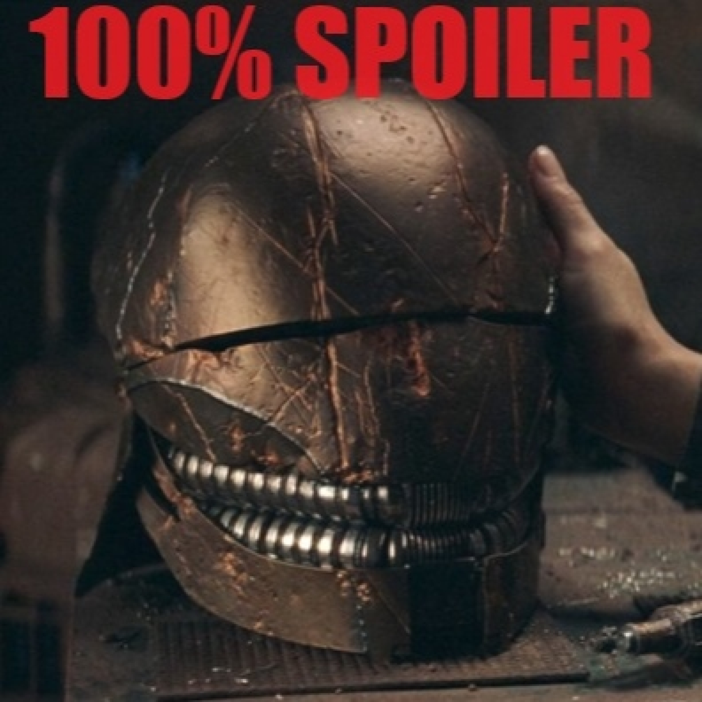 100% Spoiler