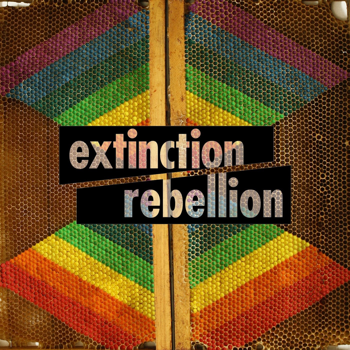 Rebelión o Extinción