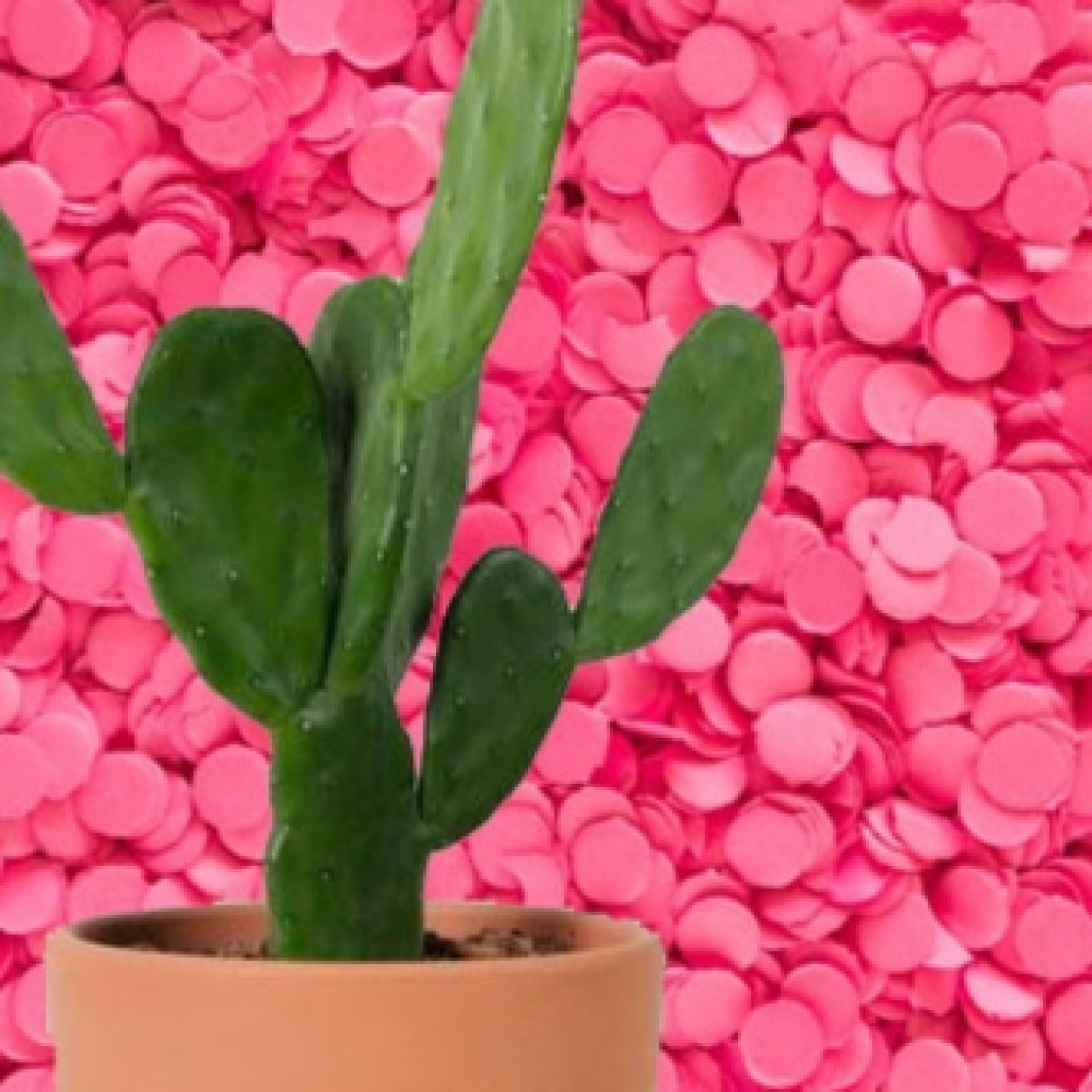 Cactus Confetti