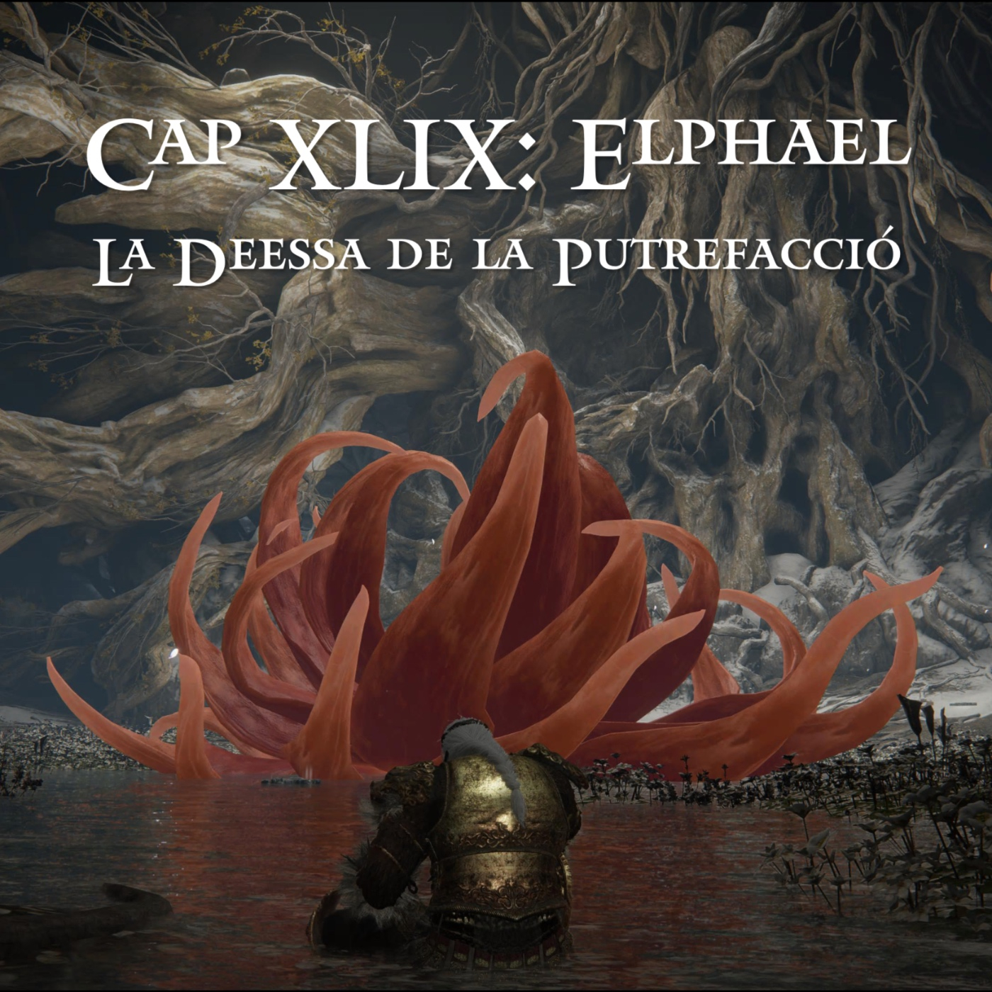 Viatge per les Terres Intermèdies