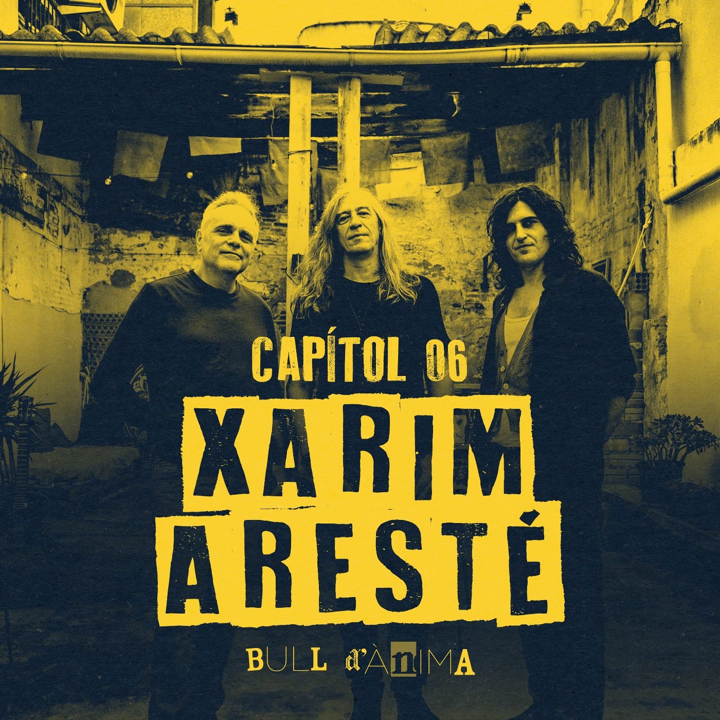 Bull d\'Ànima