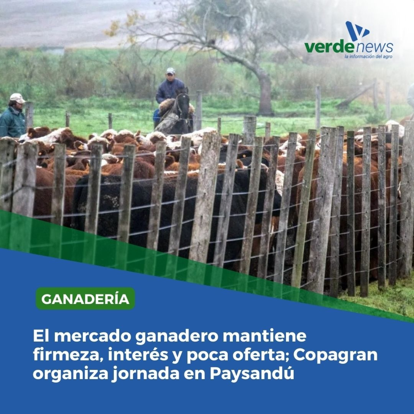 Federico Garcia Lagos - gerente ganadero de Copagran - 16/10/24 episode artwork