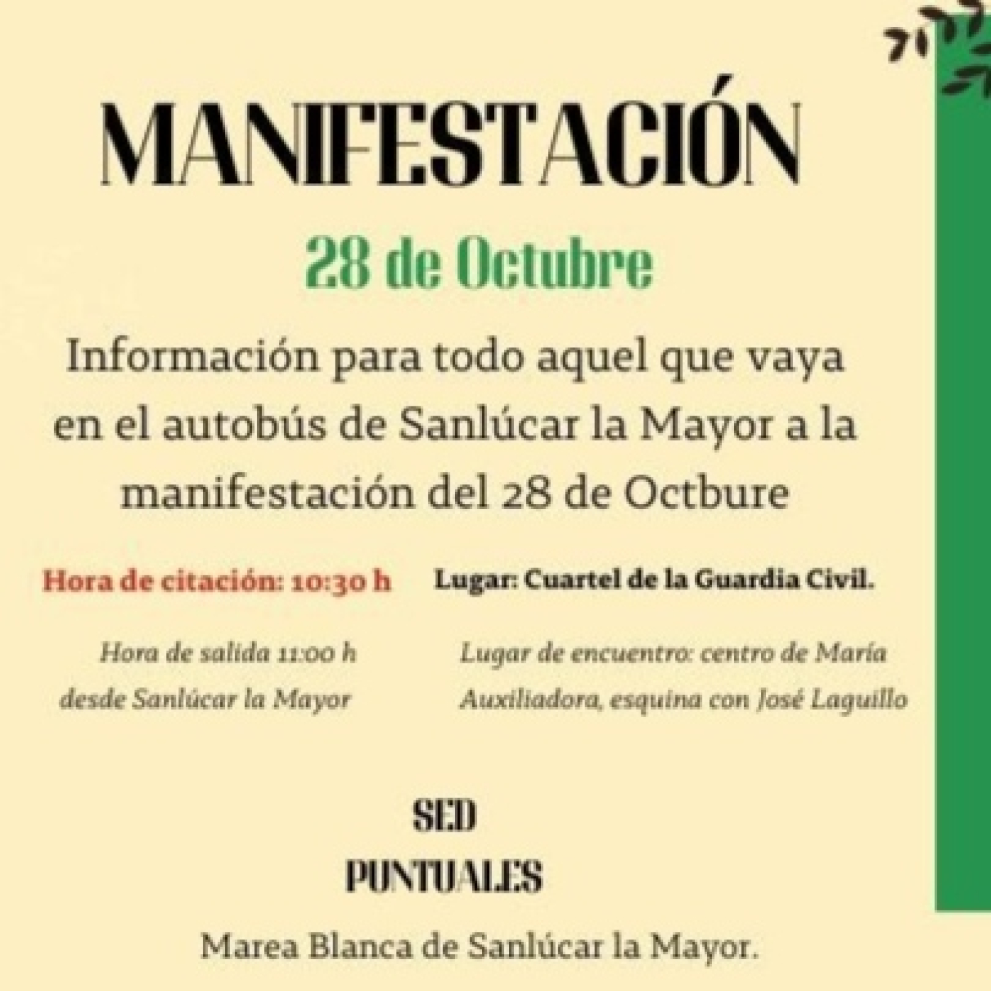 MANIFESTACIÓN CONVOCADA POR LAS MAREAS BLANCAS DE ANDALUCÍA episode artwork