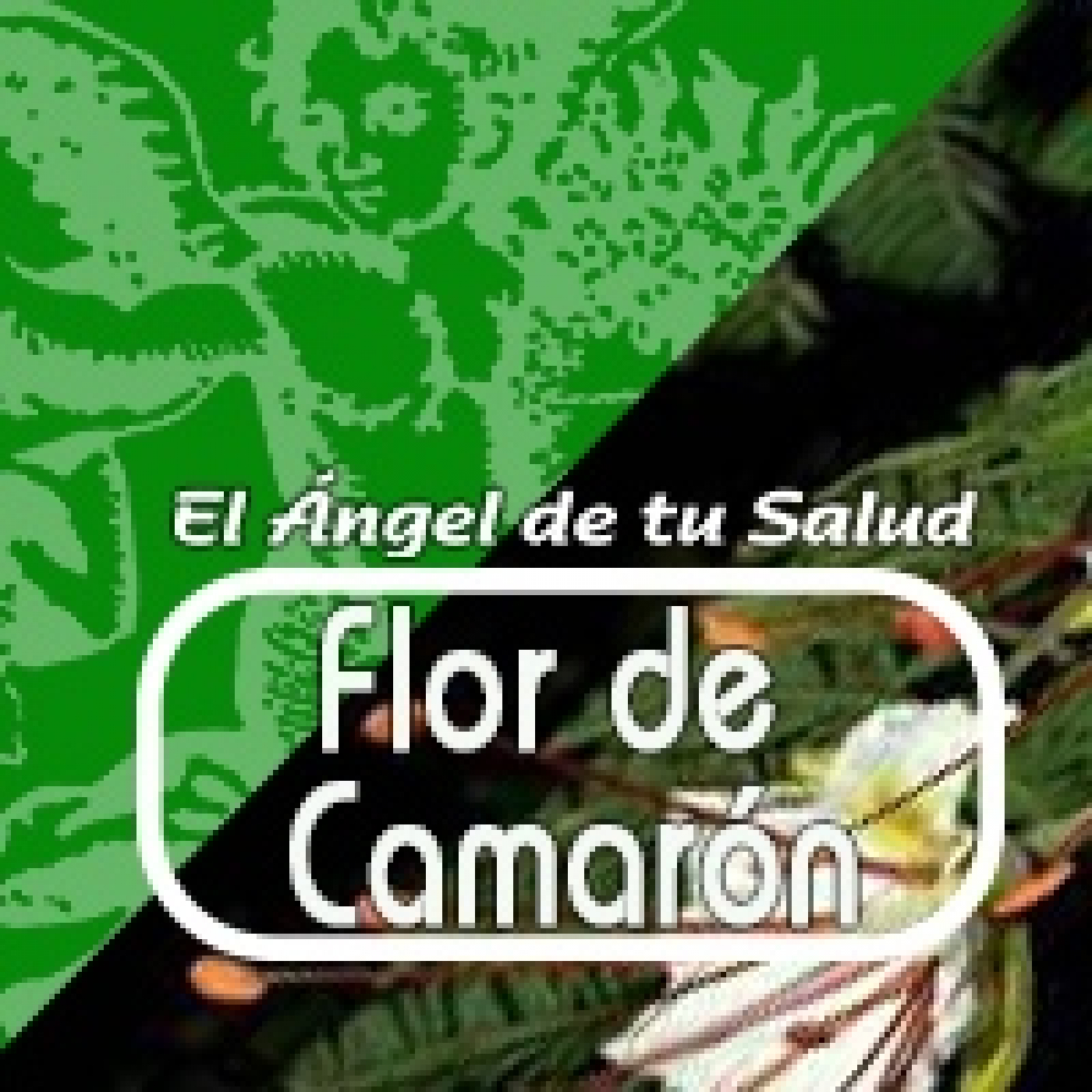 El Ángel de tu Salud - FLOR DE CAMARÓN*** episode artwork