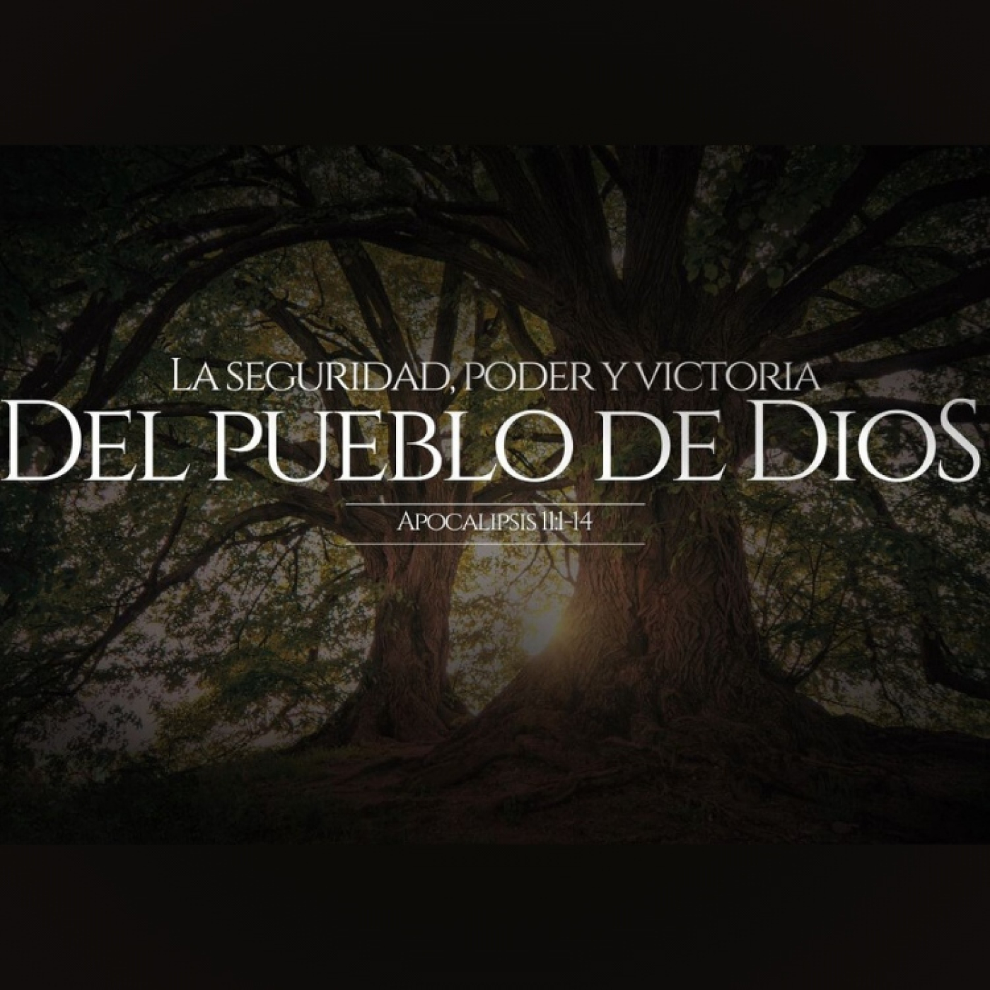 Apocalipsis, consuelo en la victoria de Cristo