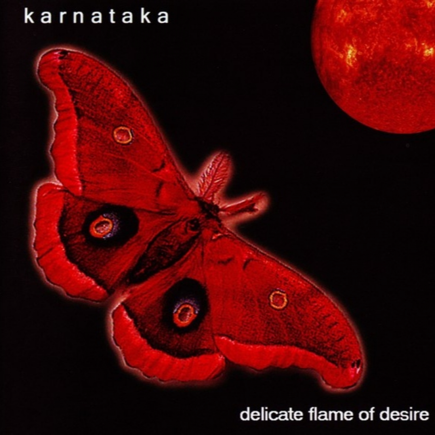 607 - Karnataka- Delicate Flame Of Desire (2003) episode artwork
