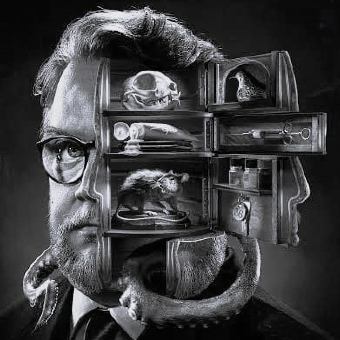 Donde curioseamos el Gabinete de Guillermo del Toro episode artwork