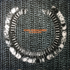 embed image
