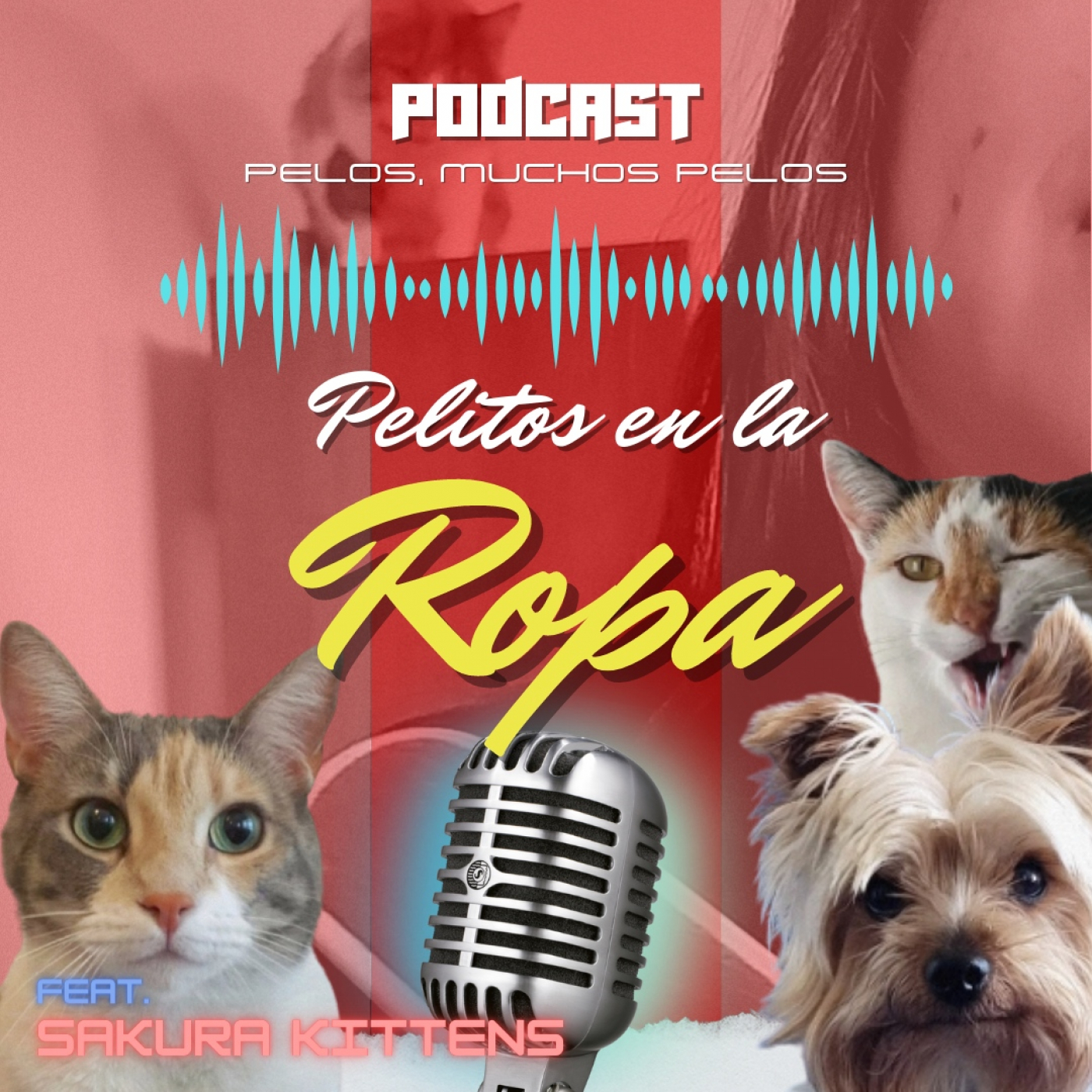 PELR: Pelitos en la Ropa