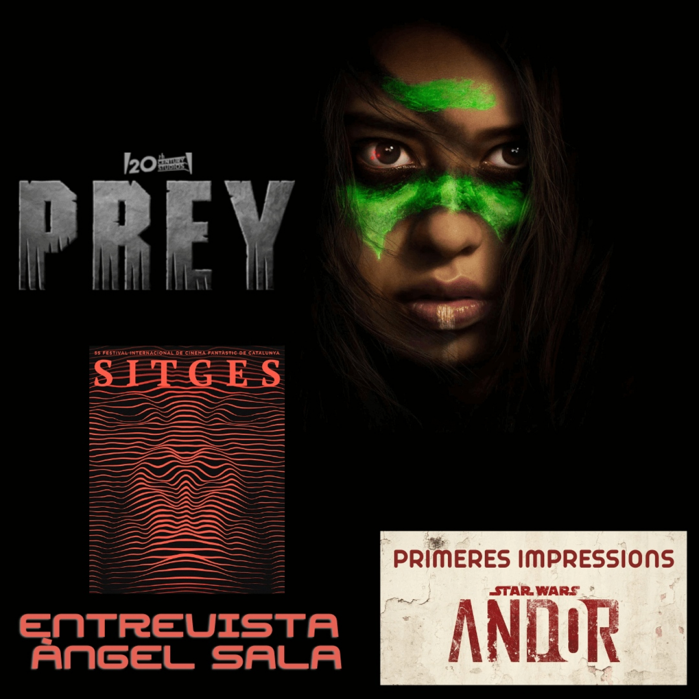 Podcast Ningú no és perfecte