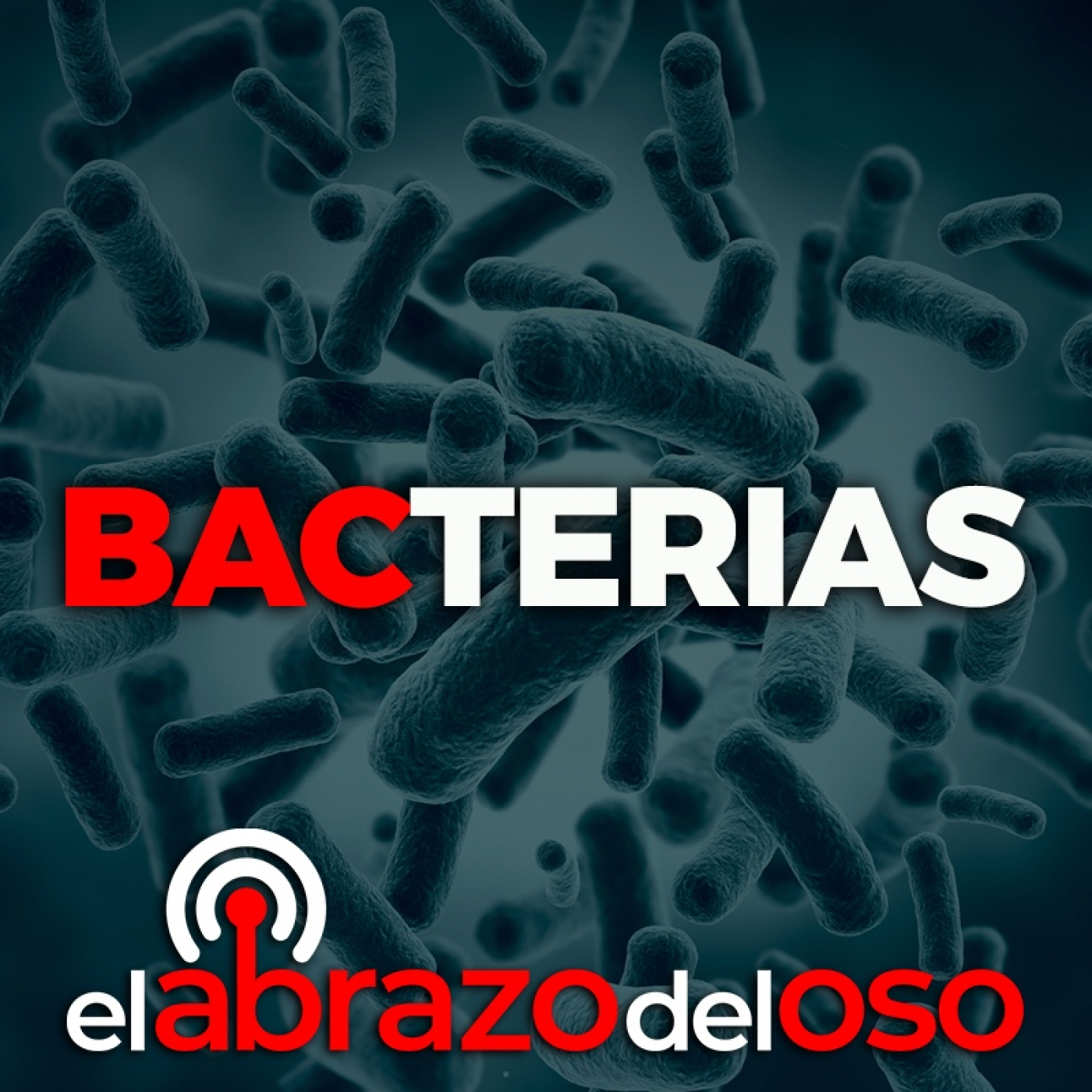 Bacterias - El Abrazo del Oso