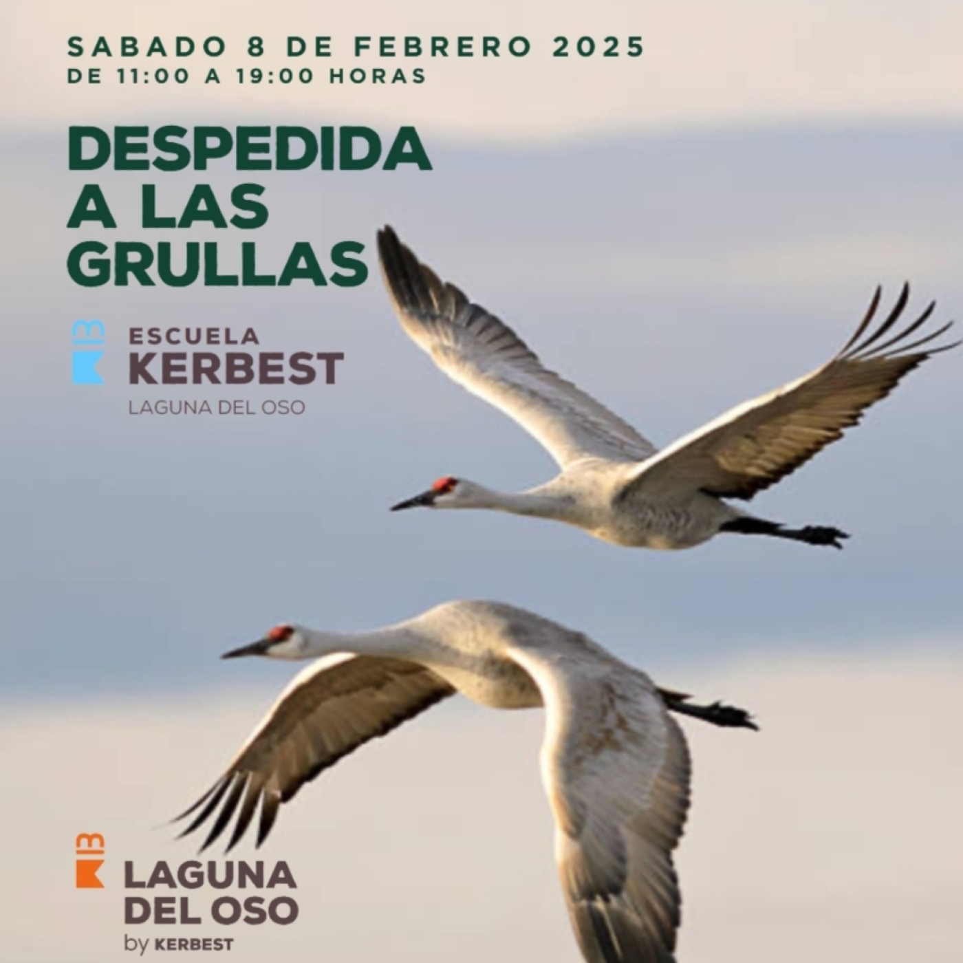Radio Adaja - Magazines, informativos y secciones