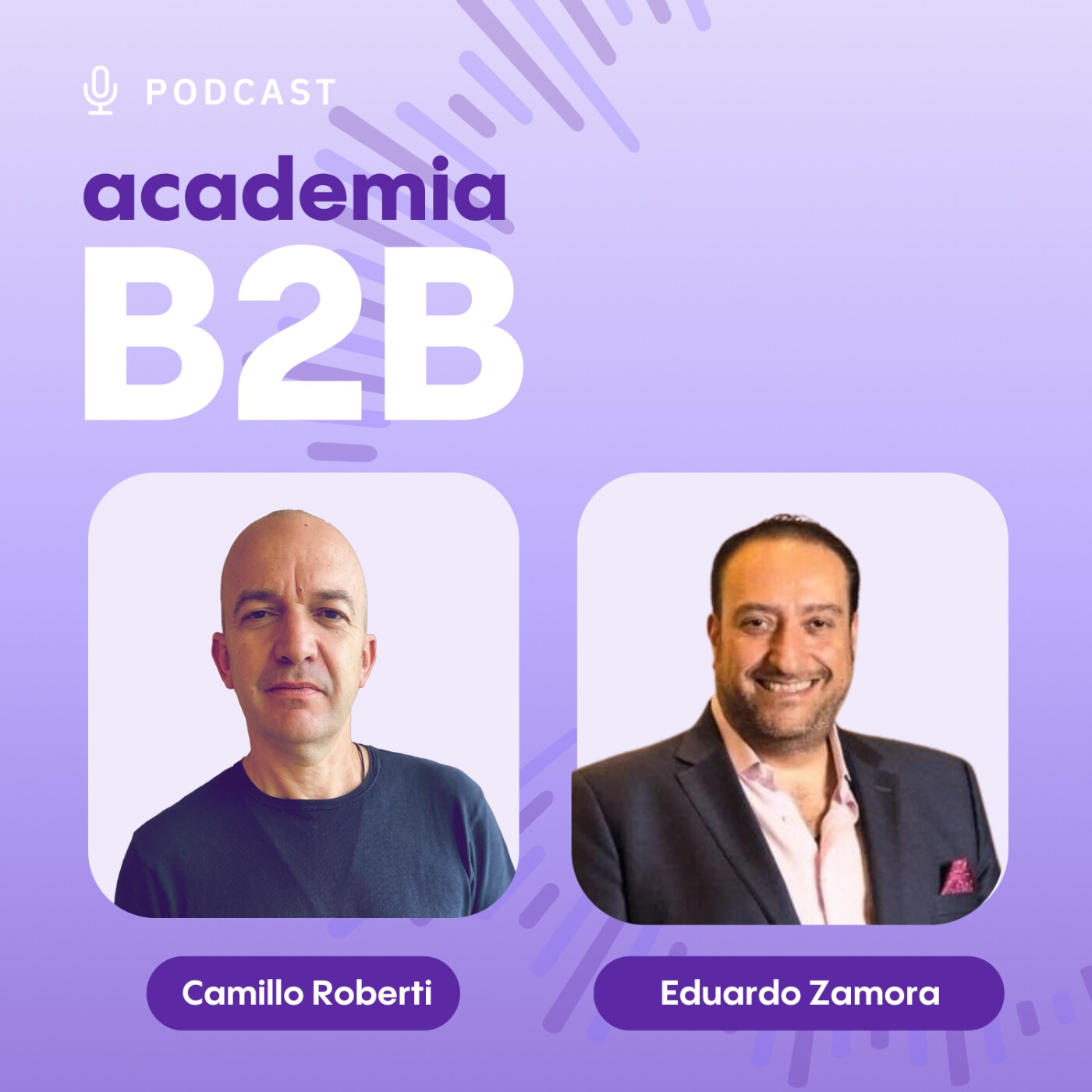 Academia B2B