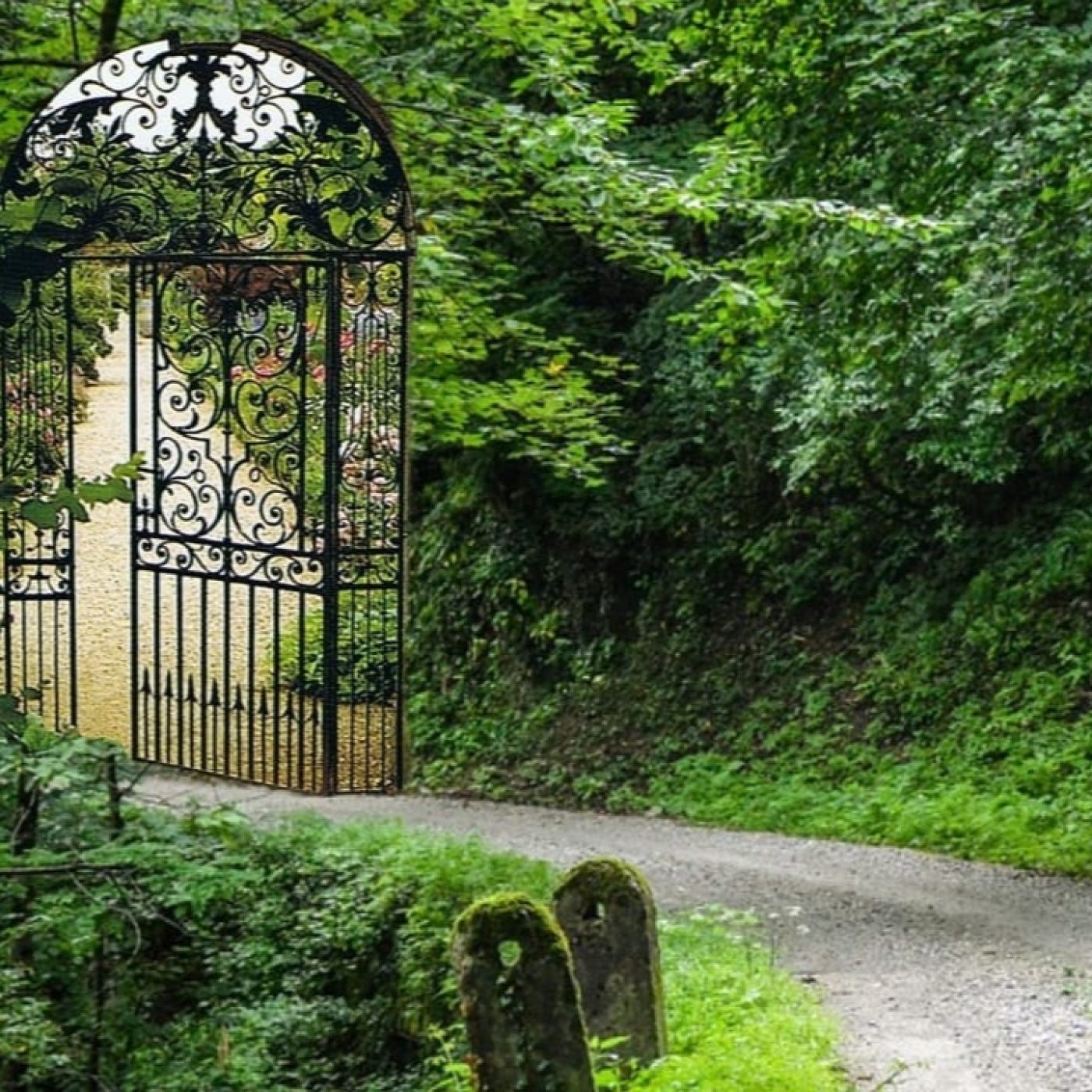Oasis de Calma