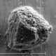 embed image