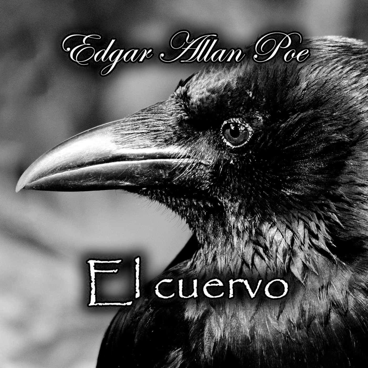 El Desván de los Cuentos Perdidos - Audiolibros
