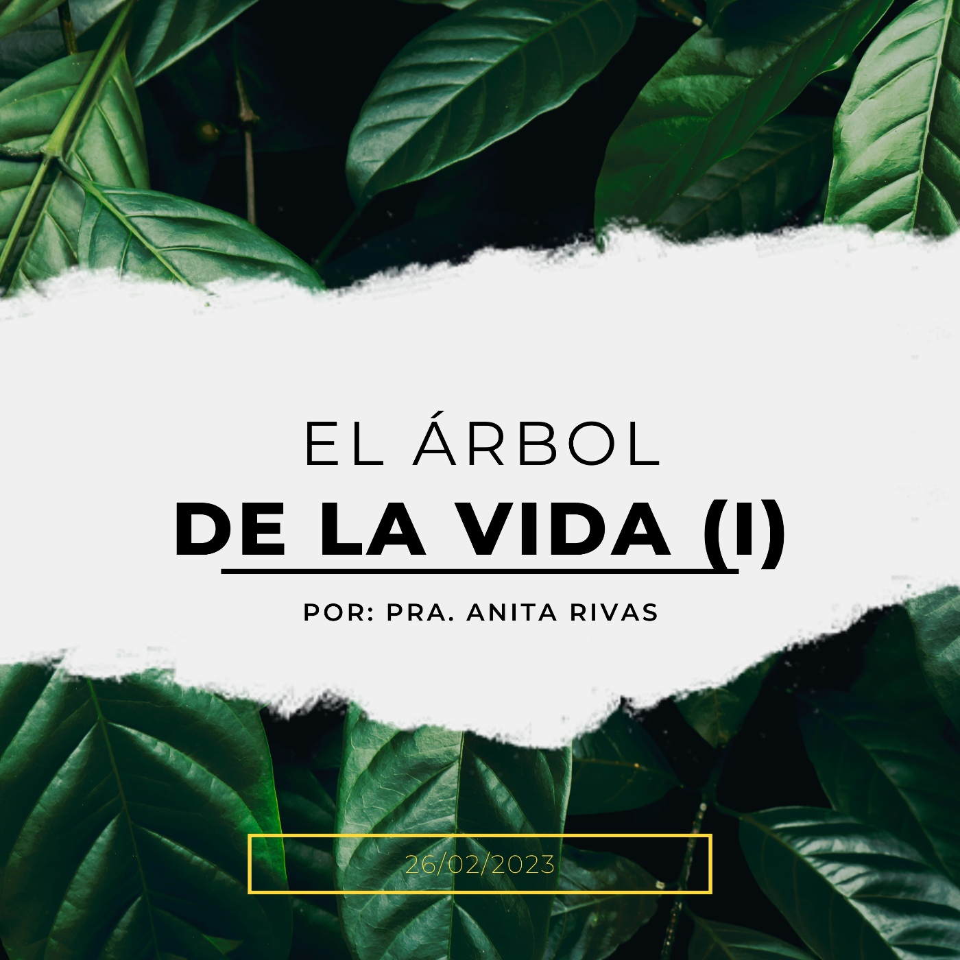 Iglesia Cristo Plenitud de Vida