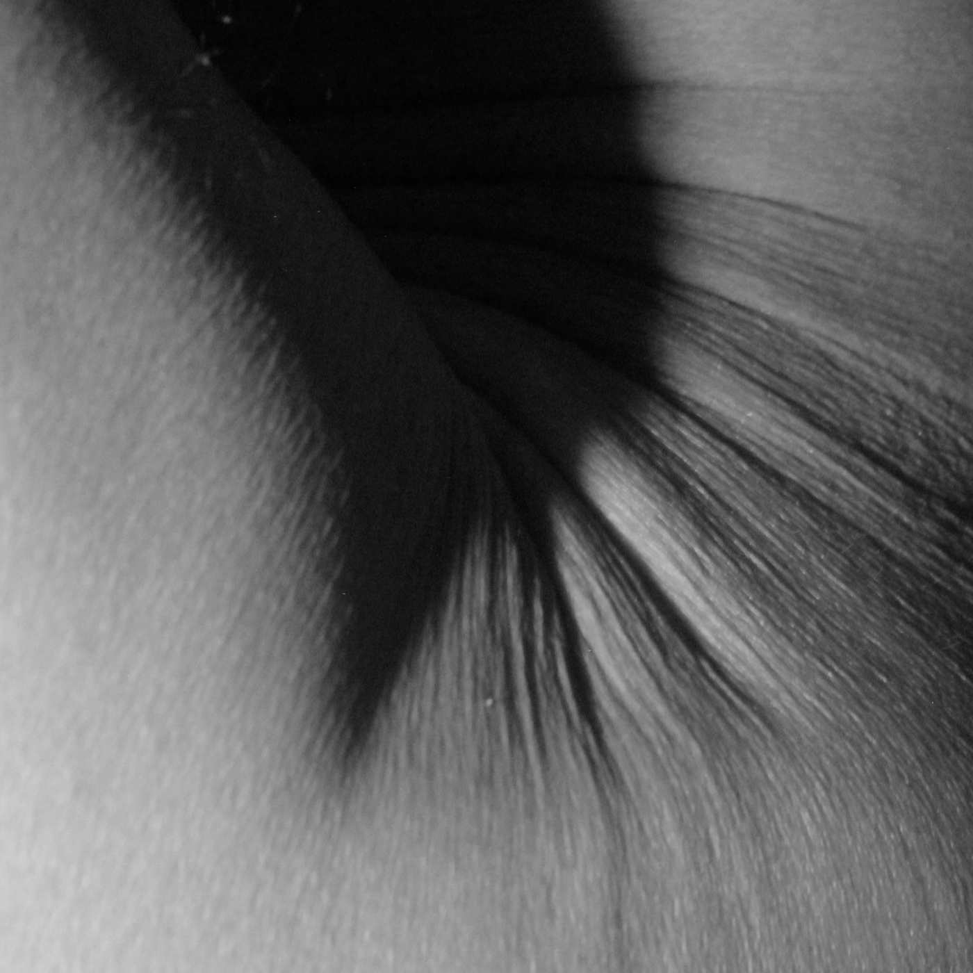 Relatos Eroticos del Gloton4you