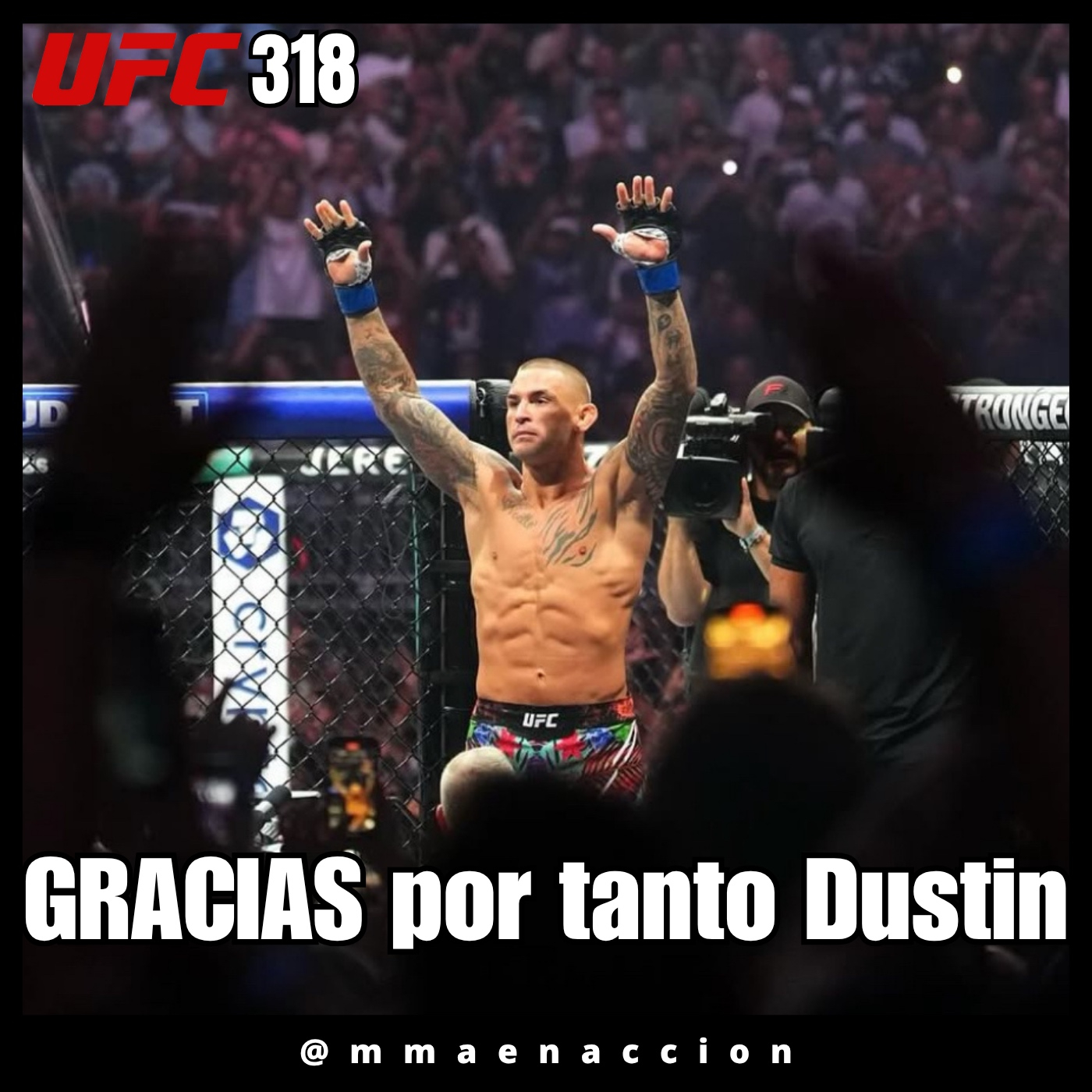 MMA en acción