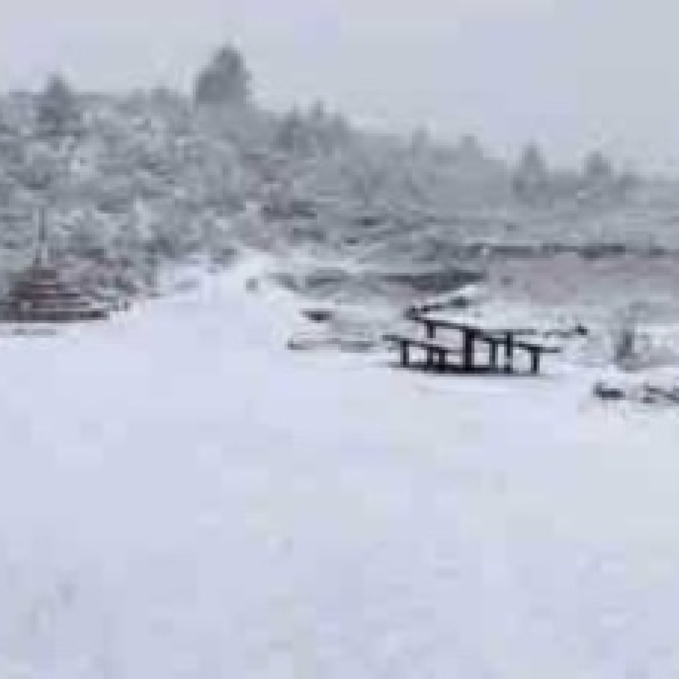 Castelló encara el pitjor del temporal hui amb fins a 20 centímetres de neu episode artwork