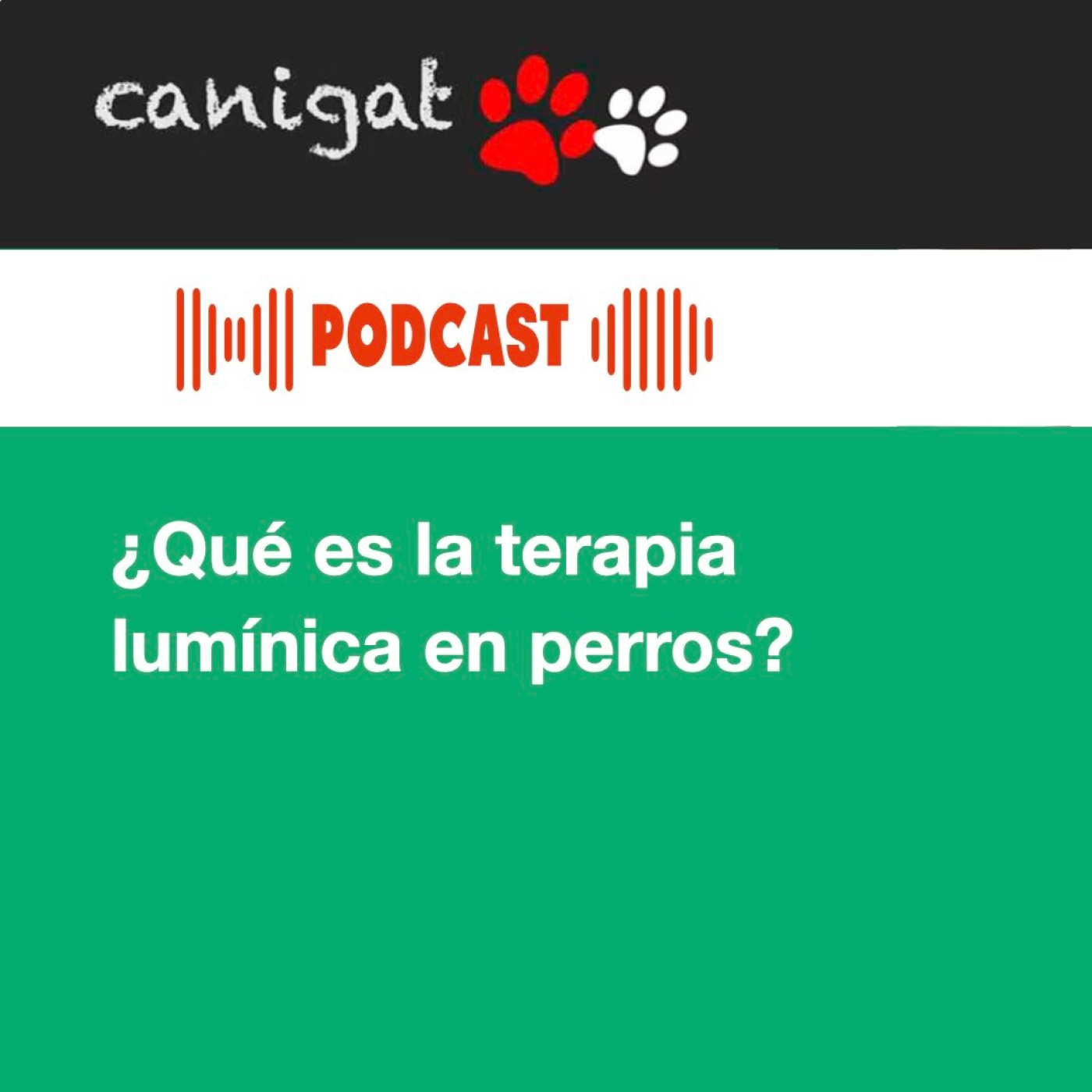 Consejos veterinarios de perros y gatos by canigat